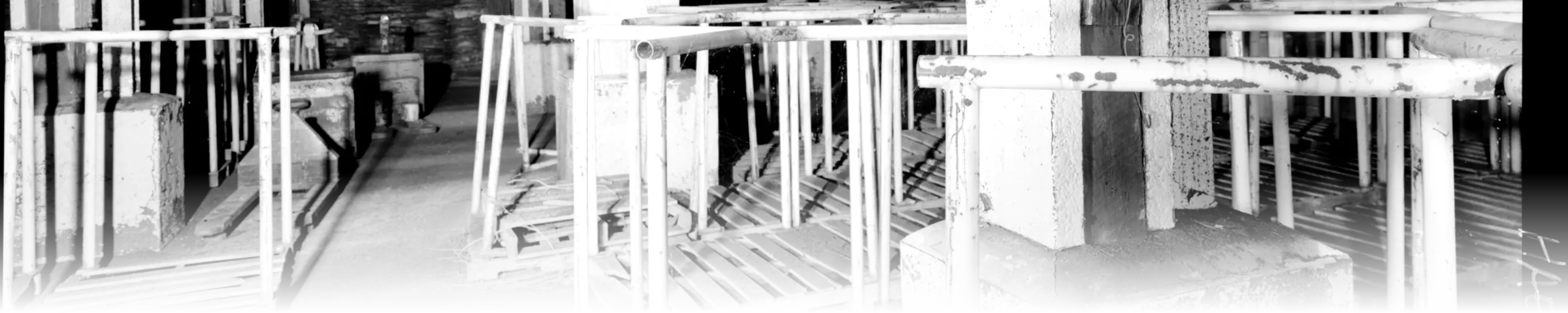 A black-and-white photograph of a cold storage warehouse interior, showing rows of pipe-frame storage racks holding wooden pallets receding past a concrete support column